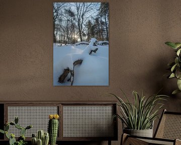Magisch winterlandschap van Moetwil en van Dijk - Fotografie