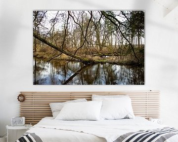 Branch work, Swalmen, Roermond