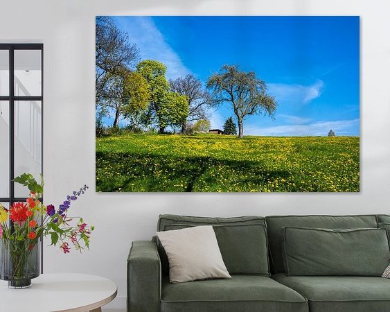 Aperçu de la chambre