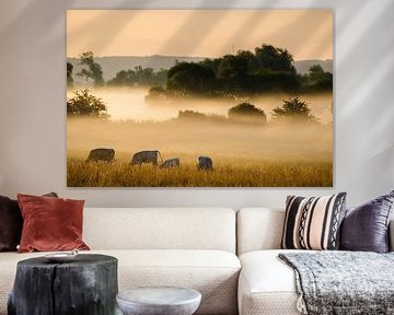 Des vaches dans le brouillard