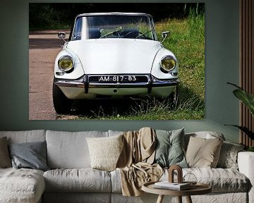 Citroën DS Cabriolet sur Pieter van Dijken