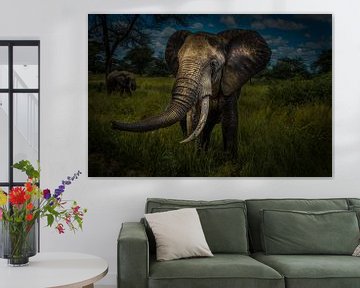 Olifant in Serengeti van Erwin Floor