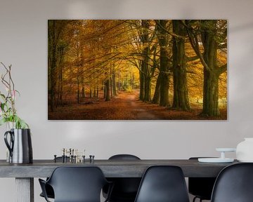 Sterrebos von Jeroen Lagerwerf
