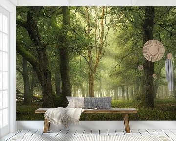 Das Geheimnis der Bäume von Jeroen Lagerwerf