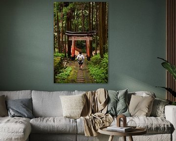 Randonnée dans les forêts japonaises, Kyoto, Japon sur Sebastian Rollé - travel, nature & landscape photography