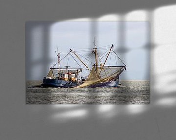 Fischerbohrer mit aufgestellten Netzen von Marco Leeggangers