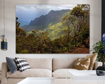 Pu'u O Kila Uitkijkpost - Kauai / Hawaii van t.ART