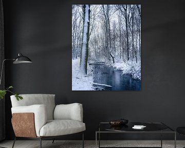 Winterwonderland in The Netherlands van Sonny Vermeer