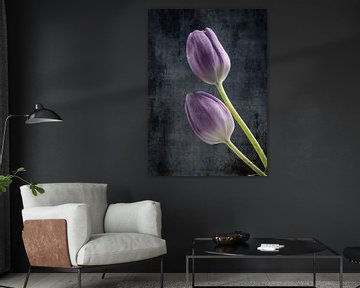 Paar tulpen van Andreas Berheide Photography