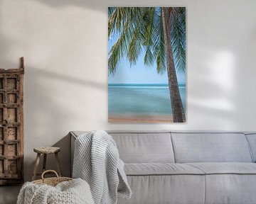 Palmboom op het strand van Bernd Hartner