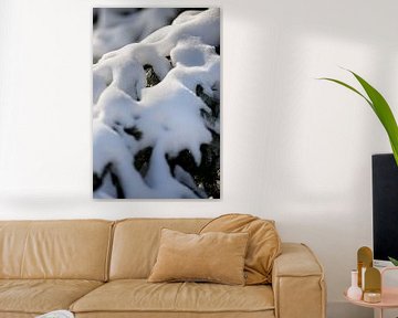 macrofoto van sneeuw op een tak in een landelijke natuur omgeving | fine art foto print | poster van Karijn | Fine art Natuur en Reis Fotografie