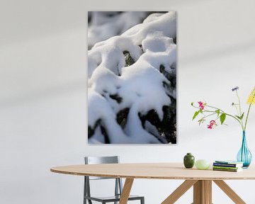 macrofoto van sneeuw op een tak in een landelijke natuur omgeving | fine art foto print | poster