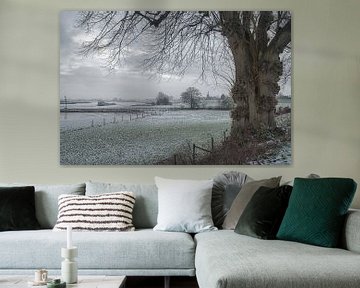 Binnenvaartschip op de Lek van Moetwil en van Dijk - Fotografie