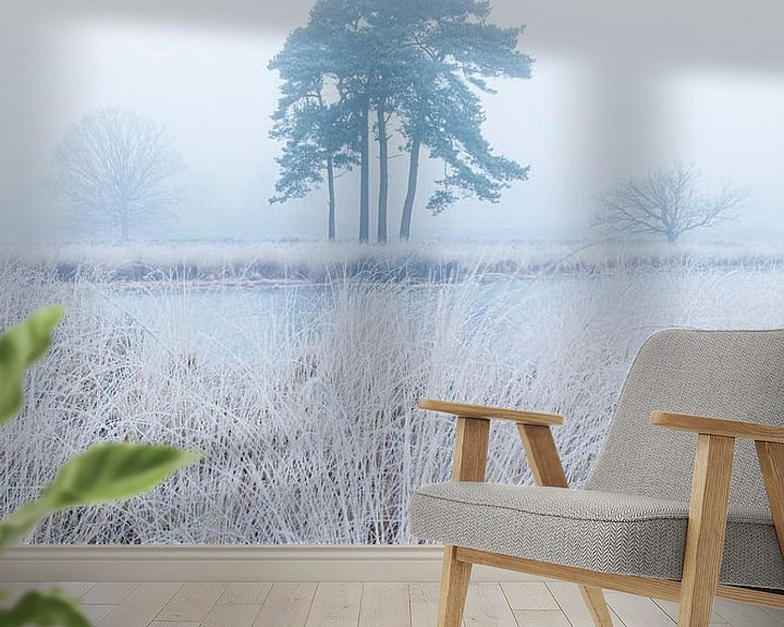 Sfeerimpressie behang: Bevroren gras in de mist van Patrick van Os