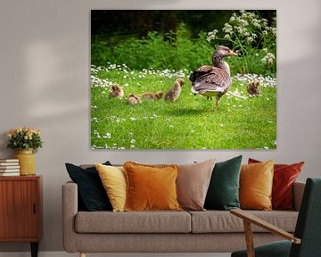 Goose with chicks in the grass by Charlotte Dirkse