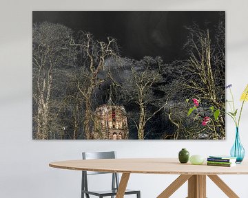 L'Oldehove de Leeuwarden sous le soleil de février avec des arbres au premier plan