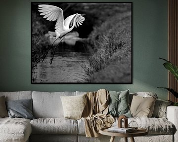 Egret spreads her wings by EFFEKTPHOTOGRAPHY.nl