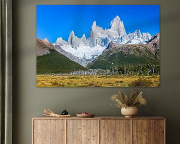 Fitz Roy berg, El Chalten, Patagonië, Argentinië van Dieter Meyrl