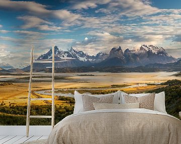Cerro Torre with Rio Serrano in the morning, Torres del Paine National Park, Chile by Dieter Meyrl