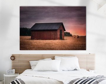 Swedish countryside barn van Leon Brouwer