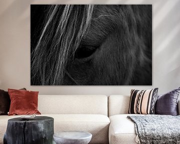 Close-up van een Paard van Marie-Claire Aling