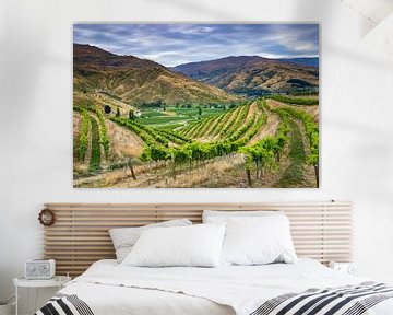 Wine Fields in New Zealand by Antwan Janssen