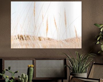 Marram grass in the dunes of North Holland by Melissa Peltenburg