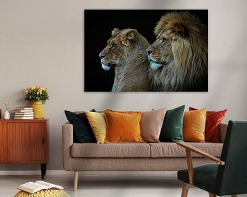 Löwe und Löwin Porträt