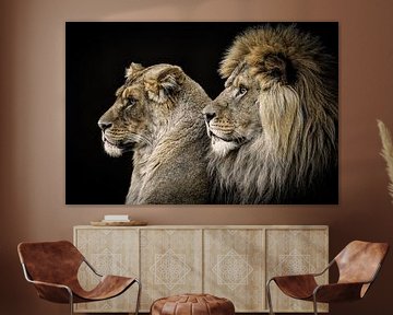 Portrait d'un lion et d'une lionne sur Marjolein van Middelkoop