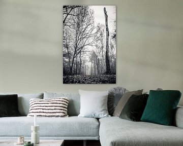 Dood hout (zwart-wit) van Fotografie Jeronimo