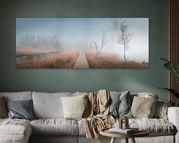 Panorama of a forest path by Remco Piet
