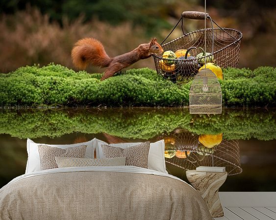 Aperçu de la chambre