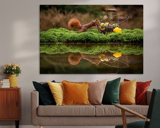 Aperçu de la chambre