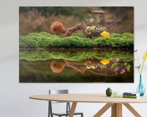 Aperçu de la chambre