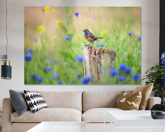 Aperçu de la chambre