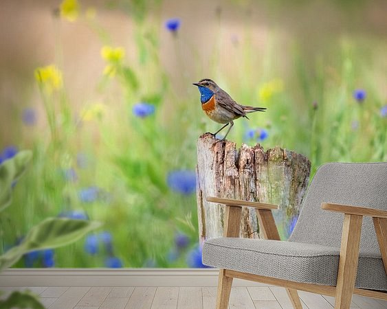 Aperçu de la chambre