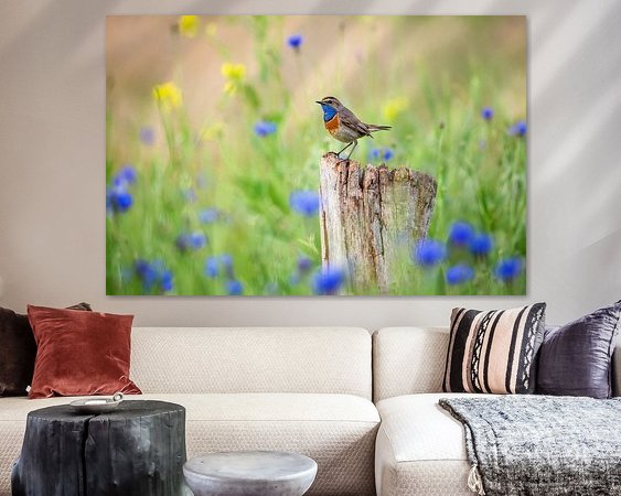 Aperçu de la chambre