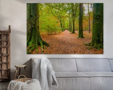 Couleurs d'automne dans la forêt près de Roosendaal sur Jan Poppe