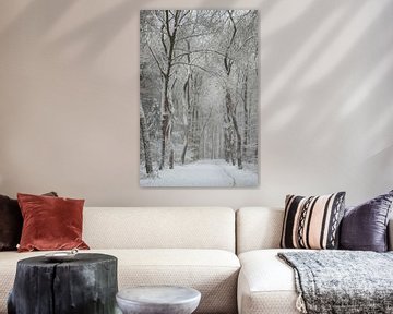 snowy forest by Danielle Bosschaart