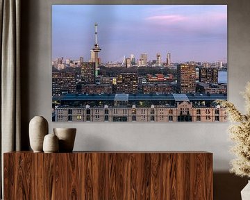 Skyline with Euromast by Prachtig Rotterdam
