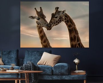 Giraffes love by Marjolein van Middelkoop