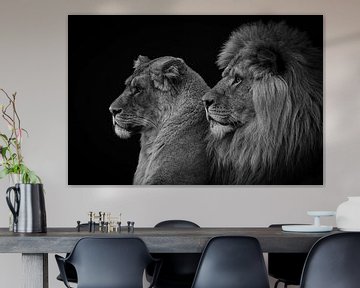 Löwe und Löwin Porträt in schwarz und weiß von Marjolein van Middelkoop