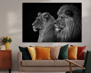 Portrait de lion et de lionne en noir et blanc