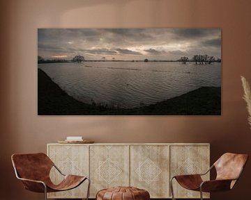 Hoogwater bij Prins Willem Alexanderbrug in Echteld van Moetwil en van Dijk - Fotografie
