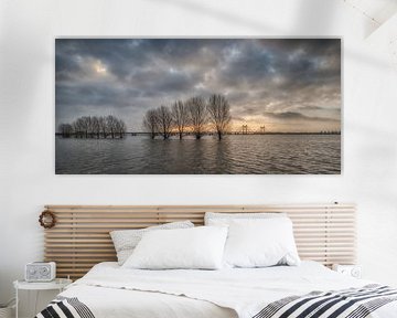 Hoogwater bij Prins Willem Alexanderbrug in Echteld van Moetwil en van Dijk - Fotografie
