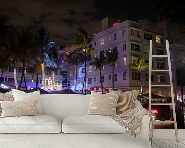Miami Beach, Ocean Drive - Clevelander South Beach Hotel and Bar bij nacht van t.ART
