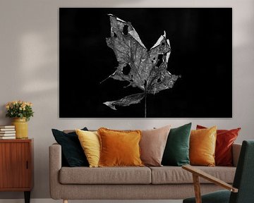 Feuille d'automne