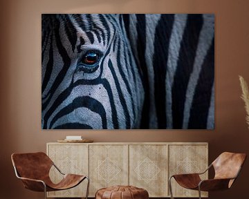 Zebra by David Potter