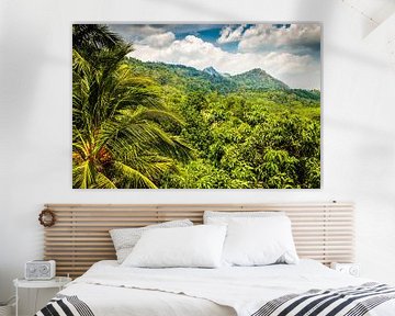 Landschap regenwoud met palmbomen en bergen in Sri Lanka van Dieter Walther