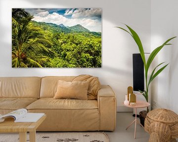 Landschaft Regenwald mit Palmen und Bergen auf Sri Lanka von Dieter Walther